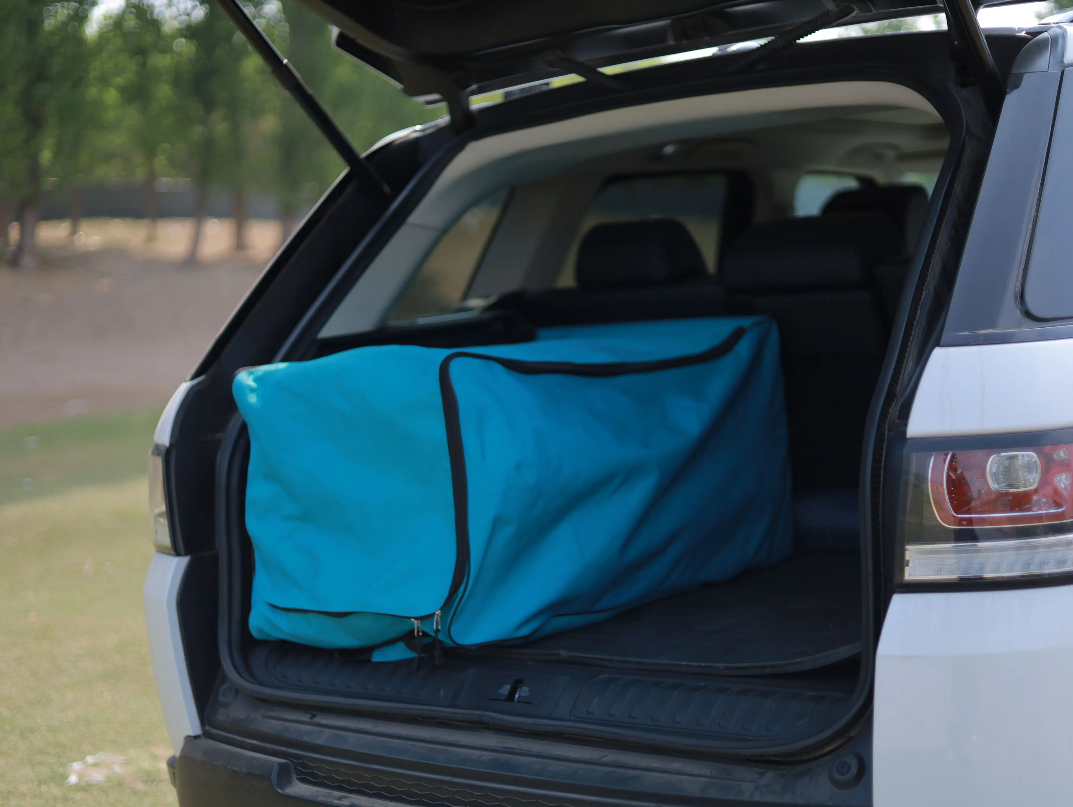 IMG_1856.JPG (2).jpg